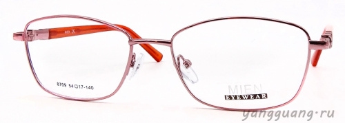 MIEN 8709 C39 54-17-140