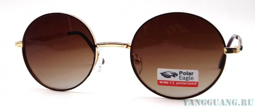 Polar Eagle 06314 C2