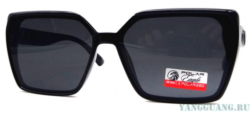 Polar Eagle 09170 С3