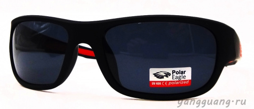 Polar Eagle 8249 C4