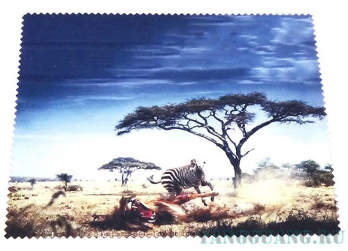 Салфетка № 10