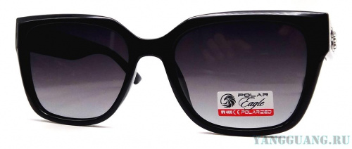 Polar Eagle 09473 C1