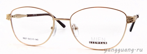 MIEN 8827 C79 53-17-140