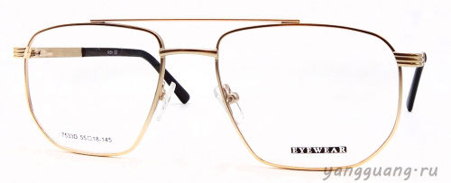 MIEN 7533D C79 55-18-145