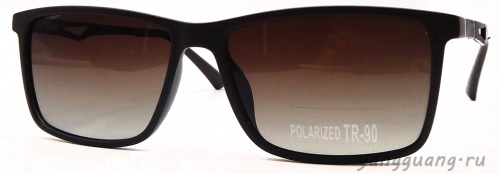 Polarized TR-90 3061 C2 - «ЕКБ ОПТИКА» Polarized TR-90 3061 C2