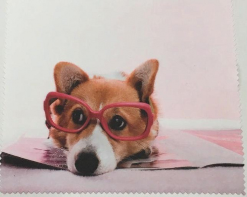 Салфетка № 21