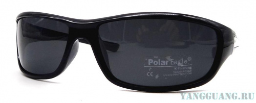 Polar Eagle 8225 C1