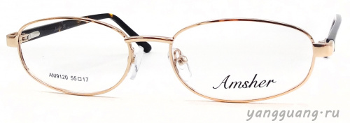 AMSHAR 9120 C1 55-17-145