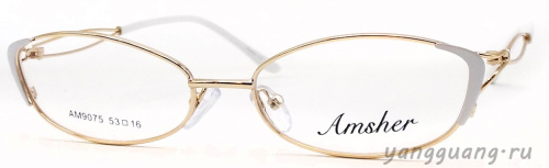 AMSHAR 9075 C1 53-16-140