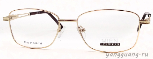 MIEN 7536 C2 51-17-138