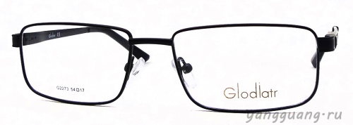 Glodiatr 2273 C6 54-17-140